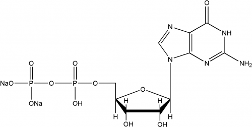 Guanosine 5’-diphosphate disodium salt